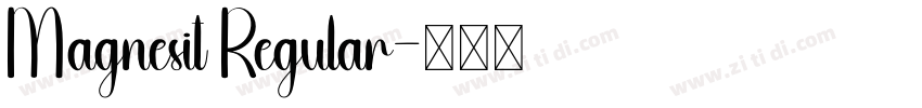 Magnesit Regular字体转换